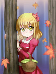 Rule 34 | 1girl, :o, against tree, aki shizuha, autumn leaves, bad id, bad pixiv id, blonde hair, blue background, blurry, blush, depth of field, dress, forest, hair ornament, juliet sleeves, leaf, leaf hair ornament, long sleeves, looking at viewer, maple leaf, nature, picnic basket, puffy sleeves, short hair, solo, tonakai (bunsuka), touhou, tree, yellow eyes