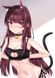 Rule 34 | 1girl, absurdres, animal ear fluff, animal ears, arms behind back, bare shoulders, bell, black bra, black panties, blush, bra, breasts, cat cutout, cat ears, cat lingerie, cat tail, choker, cleavage, cleavage cutout, clothing cutout, coffeedog, collarbone, frilled bra, frills, girls&#039; frontline, highres, jingle bell, long hair, looking at viewer, medium breasts, meme attire, navel, neck bell, panties, parted lips, purple hair, red eyes, solo, tail, underwear, wa2000 (girls&#039; frontline)