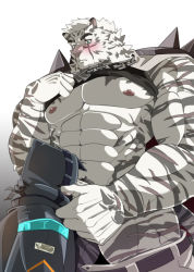 Rule 34 | 1boy, 1other, abs, ambiguous gender, animal ears, arknights, bara, bare pectorals, belt, black tank top, blush, chain, chain necklace, clothes lift, doctor (arknights), erection, fellatio, furry, furry male, furry with non-furry, grausummon, hood, hood up, interspecies, jewelry, large pectorals, lifting own clothes, male focus, mountain (arknights), muscular, muscular male, navel, necklace, nipples, open belt, open pants, oral, pants, pectorals, scar, scar across eye, scar on face, shirt lift, short hair, size difference, stomach, tank top, thick thighs, thighs, tiger boy, tiger ears, white fur, white hair, white pants
