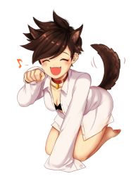 Rule 34 | 1girl, animal ears, bad id, bad twitter id, barefoot, black bra, blush, bra, breasts, brown hair, buttons, cleavage, closed eyes, collar, dog ears, dog tail, ear piercing, fang, full body, kemonomimi mode, kneeling, long sleeves, medium breasts, musical note, naked shirt, open clothes, open mouth, open shirt, overwatch, overwatch 1, paw pose, perio 67, piercing, quaver, shirt, simple background, sleeves past wrists, smile, solo, spiked hair, swept bangs, tail, tail wagging, tracer (overwatch), underwear, white background, white shirt