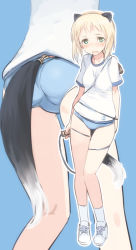 Rule 34 | 1girl, animal ears, ass, blonde hair, blue background, blush, breasts, buruma, elma leivonen, full body, green eyes, gym uniform, looking at viewer, shimada fumikane, small breasts, solo, strike witches, strike witches: suomus misfits squadron, tail, white legwear, world witches series
