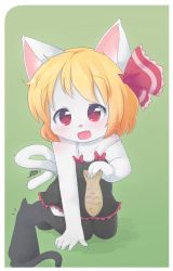 Rule 34 | 1girl, alternate costume, animal ears, animal nose, black thighhighs, blonde hair, blush, cake, cat, cat ears, cat girl, cat tail, child, dress, fang, female focus, fish, food, furry, furry female, giving, hair ribbon, highres, open mouth, red eyes, ribbon, rollingswitch, rumia, short hair, smile, solo, tail, thighhighs, touhou, whiskers