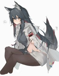 Rule 34 | 1girl, animal ears, arknights, black hair, black shirt, brown eyes, clothes lift, earrings, food, food in mouth, hair between eyes, highres, hood, hood down, hooded jacket, jacket, jewelry, lifting own clothes, long hair, long sleeves, looking at viewer, midriff, mikozin, mouth hold, official alternate costume, open clothes, open jacket, pocky, shirt, shirt lift, short shorts, shorts, simple background, solo, tail, texas (arknights), texas (winter messenger) (arknights), white background, white jacket, white shorts, wolf ears, wolf girl, wolf tail
