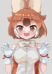 Rule 34 | 1girl, animal ears, bare shoulders, blush, bow, bowtie, brown eyes, brown shirt, dhole (kemono friends), dog ears, dog girl, gloves, highres, kemono friends, light brown hair, multicolored hair, open mouth, shirt, short hair, sleeveless, solo, two-tone hair, two-tone shirt, wakamizu, white bow, white bowtie, white gloves, white hair, white shirt
