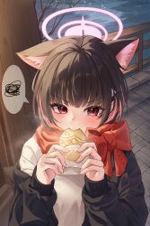 Rule 34 | 1girl, absurdres, animal ear fluff, animal ears, black hair, black jacket, blue archive, bow, cat ears, cat girl, cela (akeeeeee675), colored inner hair, commentary, eating, food in mouth, halo, highres, jacket, kazusa (blue archive), looking at viewer, multicolored hair, open clothes, open jacket, outdoors, pink hair, red eyes, red scarf, river, scarf, scarf bow, shirt, solo, streaked hair, two-tone hair, upper body, v-shaped eyebrows, white shirt
