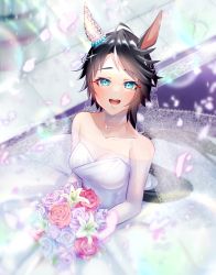 Rule 34 | 1girl, ahoge, alternate costume, animal ears, bare shoulders, black hair, blurry, blurry background, blush, bouquet, breasts, choker, cleavage, collarbone, dress, flower, fuji kiseki (umamusume), green eyes, hair ornament, highres, holding, holding bouquet, horse ears, horse girl, horse tail, lily (flower), medium breasts, multicolored hair, nd (nuuchadon10), off-shoulder dress, off shoulder, open mouth, petals, rose, short hair, smile, solo, sparkle, streaked hair, tail, umamusume, veil, wedding dress, white dress
