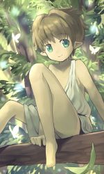 Rule 34 | 1boy, bad id, bad pixiv id, barefoot, brown hair, bug, butterfly, elf, forest, green eyes, bug, male focus, nature, original, outdoors, plant, pointy ears, robe, smile, solo, tree, yuki (vicious)