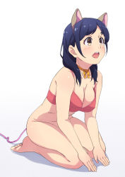 Rule 34 | 1girl, animal ears, bad id, bad pixiv id, bare arms, bare legs, bare shoulders, barefoot, blue hair, blush, bottomless, bra, breasts, brown eyes, cat ears, cleavage, collarbone, commentary request, copyright request, dog ears, fake animal ears, full body, gradient background, hayyan, highres, looking to the side, medium breasts, open mouth, pink bra, round teeth, seiza, shadow, simple background, sitting, solo, teeth, underwear, underwear only, upper teeth only, yellow neckwear