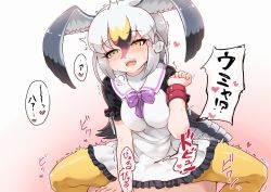 Rule 34 | 10s, 1girl, :d, bird tail, black-tailed gull (kemono friends), blush, breath, clothed sex, cowgirl position, dress, frilled dress, frills, girl on top, gradient background, grey hair, hair between eyes, head wings, implied ejaculation, kemono friends, long hair, multicolored hair, open mouth, orgasm, pantyhose, sex, short sleeves, simple background, smile, solo focus, straddling, sweat, tail, tanaka kusao, text focus, translation request, trembling, white hair, wings, wristband, yellow eyes, yellow pantyhose