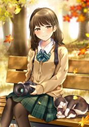 Rule 34 | 1girl, autumn, autumn leaves, backlighting, bench, blurry, blurry background, blush, bowtie, brown hair, brown pantyhose, camera, cat, closed mouth, collared shirt, falling leaves, grass, green skirt, highres, holding, holding camera, kazari hisa, leaf, looking at viewer, maple leaf, original, outdoor unit, pantyhose, park bench, plaid, plaid skirt, pleated skirt, school uniform, shirt, single-lens reflex camera, sitting, skirt, smile, solo, striped bow, striped bowtie, striped clothes, tree, vest, white shirt, yellow eyes, yellow vest