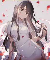 Rule 34 | 1girl, black eyes, black hair, blood, blood on clothes, blood on face, blood splatter, closed mouth, hand in own hair, hat, kina (446964), long hair, nurse, nurse cap, petals, reality arc (sinoalice), rose petals, serious, sidelocks, simple background, sinoalice, snow white (sinoalice), solo, solo focus