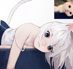 Rule 34 | 1girl, animal ears, bare shoulders, blue eyes, blue pants, breasts, cat ears, cat girl, cat tail, closed mouth, commentary, dongho kang, highres, looking at viewer, lying, on stomach, original, pants, photo-referenced, photo (medium), photo inset, real life, shirt, short hair, simple background, small breasts, solo, strap slip, tail, tank top, white background, white hair, white shirt, white tank top