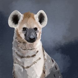 Rule 34 | animal, bad id, bad pixiv id, brown eyes, grey background, highres, hyena, koro (funnycollo), original, simple background, solo, spotted hyena