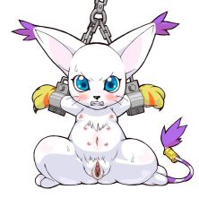 Rule 34 | angry, blue eyes, blush, cat, chain, claws, digimon, digimon (creature), extra breasts, fangs, furry, nipples, no humans, pussy, simple background, spread legs, sweat, tail, tailmon, whiskers