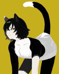 Rule 34 | 1girl, all fours, animal ear fluff, animal ears, black fur, black hair, body fur, cat ears, cat girl, cat tail, closed mouth, commentary request, dungeon meshi, frs2, hair between eyes, highres, izutsumi, korean commentary, limited palette, looking at viewer, multicolored fur, short hair, simple background, solo, tail, topless, yellow background, yellow eyes