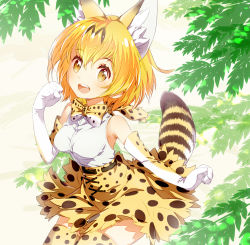 Rule 34 | 10s, 1girl, :d, animal ears, arm at side, armpits, bare shoulders, belt, bow, bowtie, breasts, brown belt, brown eyes, clenched hands, cross-laced clothes, elbow gloves, eyelashes, gloves, hair between eyes, hand up, kemono friends, looking at viewer, medium breasts, open mouth, orange hair, outdoors, paw pose, peco19peco, plant, revision, sandstar, serval (kemono friends), serval print, serval tail, shirt, short hair, skirt, sleeveless, sleeveless shirt, smile, solo, striped tail, tail, tareme, teeth, thighhighs, white shirt, wind, zettai ryouiki