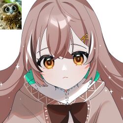 1girl :&lt; bird blush brown_capelet brown_cloak brown_eyes brown_hair capelet cloak hana20000920 highres hololive hololive_english looking_at_viewer multicolored_hair nanashi_mumei nanashi_mumei_(1st_costume) owl portrait ribbon shirt sparkle streaked_hair virtual_youtuber white_shirt