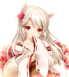 Rule 34 | 1girl, animal ears, blush, flower, flower knight girl, hair flower, hair ornament, higanbana (flower knight girl), japanese clothes, looking at viewer, miko, monety, name connection, object namesake, red eyes, silver hair, sketch, smile, solo, spider lily, spider lily (flower knight girl), tail