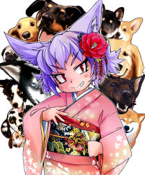 Rule 34 | absurdres, animal ears, chinese zodiac, commentary request, dalmatian, dog, dog child (doitsuken), dog ears, dog request, doitsuken, fang, floral print, flower, flower request, grin, hair flower, hair ornament, head tilt, highres, japanese clothes, kimono, long sleeves, looking at viewer, new year, obi, original, pink kimono, purple hair, red eyes, sash, shiba inu, short hair, slit pupils, smile, solo, v-shaped eyebrows, welsh corgi, wide sleeves, year of the dog