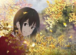 Rule 34 | 1girl, autumn, autumn leaves, blurry, blurry background, branch, brown eyes, brown hair, day, ginkgo leaf, highres, leaf, leaning forward, light smile, looking at viewer, original, outdoors, red sweater, sakura inu (itoyatomo), short hair, solo, sweater, tree