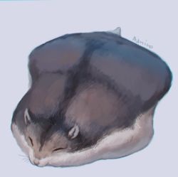 Rule 34 | animal, animal focus, bad id, bad pixiv id, commentary request, closed eyes, flattened, full body, grey background, hamster, lying, manino (mofuritaionaka), no humans, on stomach, original, signature, simple background, sleeping, solo