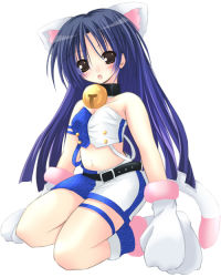Rule 34 | 00s, 1girl, animal ears, animal hands, bell, belly, belt, cat ears, cat tail, collar, cool &amp; sexy (idolmaster), gloves, idolmaster, idolmaster (classic), idolmaster 1, kisaragi chihaya, long hair, navel, neck bell, paw gloves, petite, shorts, solo, tail