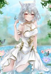 Rule 34 | 1girl, absurdres, animal ears, armband, blue butterfly, blurry, blurry background, breasts, bug, butterfly, cat ears, closed mouth, commentary request, day, dress, facial mark, final fantasy, final fantasy xiv, flower, full body, grey hair, hand up, highres, insect, kneeling, lena (lenafenrir1), looking at viewer, medium breasts, medium hair, miqo&#039;te, outdoors, partially submerged, pink flower, purple flower, red eyes, sleeveless, sleeveless dress, solo, warrior of light (ff14), water, whisker markings, white dress