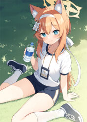 Rule 34 | 1girl, animal ear fluff, animal ears, aqua eyes, arm support, blue archive, blue footwear, blue shorts, bottle, closed mouth, commentary request, day, flower, gym shirt, gym uniform, hair flower, hair ornament, hairband, halo, holding, holding bottle, long hair, looking at viewer, mari (blue archive), mari (track) (blue archive), mauve, official alternate costume, on grass, orange hair, outdoors, plastic bottle, shirt, shoes, short sleeves, shorts, sitting, smile, socks, solo, water bottle, white hairband, white shirt, white socks, yellow halo