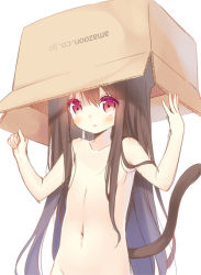 Rule 34 | 1girl, :&lt;, amazon (company), animal ears, black hair, blush, box, cardboard box, cat ears, cat tail, censored, colored eyelashes, convenient censoring, flat chest, groin, hair censor, hair over breasts, long hair, looking at viewer, navel, nude, object on head, original, out-of-frame censoring, red eyes, simple background, sketch, solo, tail, upper body, very long hair, watermark, web address, white background, yuizaki kazuya