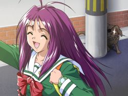 Rule 34 | 1girl, dog, green shirt, kotobuki miyuki, purple hair, school uniform, shirt, solo, tokimeki memorial, tokimeki memorial 2