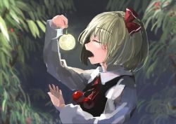 Rule 34 | 1girl, black dress, blonde hair, dress, eating, closed eyes, forest, hair ribbon, ichiba youichi, long sleeves, nature, open mouth, ribbon, rumia, shirt, solo, touhou, upper body