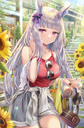 Rule 34 | 1girl, :o, alternate costume, bag, blunt bangs, bow, breasts, building, bush, carrot, clothes around waist, collarbone, commentary request, cowboy shot, day, eyewear hang, flower, gold ship (umamusume), grey shorts, hair bow, hand up, hat, highres, holding, holding clothes, holding hat, holding towel, jacket, jacket around waist, large breasts, long hair, looking at viewer, outdoors, parted lips, pillbox hat, pink eyes, purple bow, red shirt, shirt, shorts, silver hair, solo, stairs, standing, sunflower, sunglasses, sunlight, sweat, torino aqua, towel, umamusume, unworn eyewear, unworn hat, unworn headwear, very long hair, white jacket, wiping sweat, wristband, yellow flower