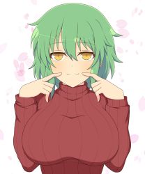 Rule 34 | 1girl, breasts, cherry blossoms, eyebrows, fingers to mouth, green hair, highres, hikage (senran kagura), ichiryuu tsumiki, large breasts, looking at viewer, petals, red sweater, ribbed sweater, senran kagura, short hair, smile, sweater, turtleneck, turtleneck sweater, white background, yellow eyes