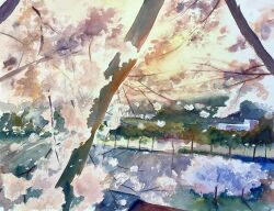Rule 34 | branch, building, cherry blossoms, day, didi daisukedoi, from above, highres, morning, no humans, original, painting (medium), park, scenery, shadow, sunlight, sunrise, traditional media, tree, watercolor (medium)