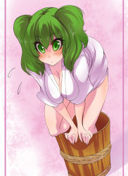 Rule 34 | 1girl, aged up, alternate breast size, bad id, bad pixiv id, blush, bottomless, breasts, bucket, cleavage, downblouse, face, female focus, flying sweatdrops, green eyes, green hair, hair bobbles, hair ornament, hanging breasts, in bucket, in container, kisume, large breasts, leaning forward, matching hair/eyes, no bra, short hair, simple background, solo, suikamaru, touhou, twintails