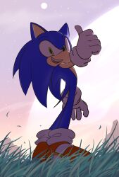 Rule 34 | 1boy, chaosrice, furry, gloves, grass, green eyes, highres, looking at viewer, male focus, open mouth, outdoors, shoes, sky, solo, sonic (series), sonic the hedgehog, standing, teeth, thumbs up, white gloves