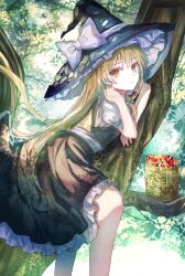 Rule 34 | 1girl, basket, black skirt, blonde hair, bow, braid, closed mouth, commentary request, green bow, hair bow, hat, hat bow, highres, in tree, kirisame marisa, long hair, looking at viewer, marisa day, mushroom, short sleeves, side braid, single braid, sitting, sitting in tree, skirt, solo, suzushina, touhou, tree, twitter username, very long hair, white bow, witch hat, yellow eyes