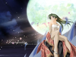 Rule 34 | 00s, 1girl, anklet, bandeau, barefoot, bikini, cloud, cyamna fon, earrings, flat chest, flower, full moon, green hair, hashimoto takashi, jewelry, legs, long hair, moon, motion blur, necklace, night, night sky, outdoors, petals, purple eyes, shawl, side-tie bikini bottom, sitting, sky, smile, solo, strapless, swimsuit, tan, third-party edit, tube top, watermark, wind, with you