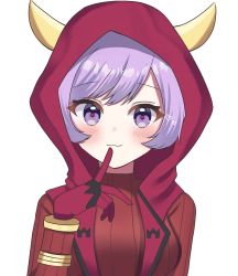 Rule 34 | 1girl, api peko, blush, closed mouth, commentary request, courtney (pokemon), creatures (company), fake horns, game freak, gloves, hand up, heart, heart in eye, highres, hood, hood up, horned headwear, horns, logo, looking at viewer, nintendo, pokemon, pokemon oras, purple eyes, purple hair, short hair, simple background, smile, solo, symbol in eye, team magma, team magma uniform, upper body, white background