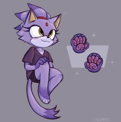 Rule 34 | 1girl, animal ears, bike shorts, blaze the cat, cat ears, cat girl, cat tail, forehead jewel, furry, furry female, grey background, highres, newtmoss, pawpads, ponytail, purple fur, purple shirt, shirt, simple background, smile, sonic (series), tail, yellow eyes