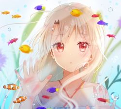 Rule 34 | 1girl, :o, against glass, air bubble, animal, blush, bubble, collarbone, commentary request, criss-cross halter, dress, face, fate/kaleid liner prisma illya, fate (series), fish, fish tank, halterneck, hands up, illyasviel von einzbern, long hair, looking at viewer, nasii, parted lips, plant, red eyes, solo