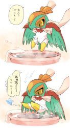 Rule 34 | 1other, arrow (symbol), baby, bath, bathing, beak, black sclera, bucket, bucket of water, carrying, child, claws, colored sclera, creatures (company), dipping, feathered wings, furrowed brow, game freak, gen 6 pokemon, harvest88, hawlucha, highres, legs up, nintendo, no mouth, pokemon, pokemon (creature), speech bubble, steam, towel, water, white background, wings, aged down