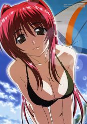 Rule 34 | 00s, 1girl, absurdres, all fours, beach, beach umbrella, bikini, black bikini, breasts, brown eyes, buckle, cleavage, closed mouth, cloud, cowboy shot, day, downblouse, duplicate, dutch angle, foreshortening, from below, hair between eyes, highres, kousaka tamaki, large breasts, legs together, lens flare, light smile, long hair, looking at viewer, megami magazine, non-web source, official art, outdoors, outline, red hair, rock, scan, sidelocks, sky, smile, solo, straight hair, strap gap, swimsuit, thigh gap, to heart (series), to heart 2, to heart 2 ad, tree, two side up, umbrella, very long hair, yanagisawa masahide