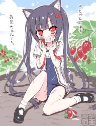 Rule 34 | 1girl, animal ears, black hair, blush, cat ears, cream, dengeki moeou, dirty, dokidoki sister aoi-chan, food, food on clothes, food on face, fruit, hair ornament, hairclip, kohinata aoi (dokidoki sister aoi-chan), long hair, mary janes, no pants, open clothes, open mouth, open shirt, outdoors, red eyes, school uniform, serafuku, shirt, shoes, sitting, socks, solo, strawberry, swimsuit, swimsuit under clothes, tail, takahashi tetsuya, tears, twintails, very long hair, watermark