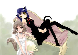 Rule 34 | animal ears, cat ears, cat tail, chaise longue, copyright request, couch, tail, thighhighs, zettai ryouiki