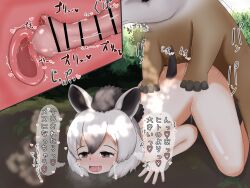 Rule 34 | 1girl, animal, animal ears, animal penis, bestiality, censored, doggystyle, eagle dodo, heart, highres, japanese text, kemono friends, malayan tapir (kemono friends), nude, open mouth, outdoors, penis, sex, sex from behind, top-down bottom-up, translated, white hair, x-ray