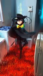 Rule 34 | 10s, 1girl, ankle lace-up, black cape, black gloves, black hair, black pantyhose, black shorts, blue eyes, bow, bowtie, cape, commentary request, cross-laced footwear, full body, gloves, hair between eyes, hand up, hat, highres, indoors, kemono friends, kitchen, looking at viewer, multicolored neckwear, pantyhose, shoes, short hair, shorts, signature, smile, solo, standing, standing on one leg, stove, v-shaped eyebrows, welt (kinsei koutenkyoku), western parotia (kemono friends)
