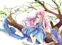 Rule 34 | 1girl, bird, bison cangshu, blue dress, dress, closed eyes, hand on own chest, in tree, long hair, open mouth, original, pink hair, sitting, sitting in tree, smile, solo, tree, branch, very long hair