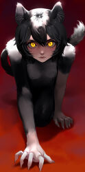 Rule 34 | 1girl, absurdres, all fours, animal ears, black hair, body fur, cat ears, cat girl, cat tail, closed mouth, dungeon meshi, fingernails, highres, izutsumi, looking at viewer, pawsup, sharp fingernails, short hair, slit pupils, solo, tail, yellow eyes