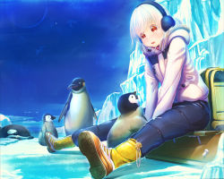 Rule 34 | 1girl, aiuabo, albino, animal, baby penguin, backpack, bag, bird, blush, boots, earmuffs, ice, looking away, orca, original, parted lips, penguin, red eyes, sitting, white hair, yellow footwear